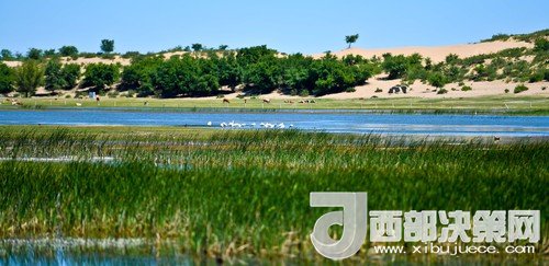 阿魯科爾沁保護(hù)區(qū)濕地沙丘。吳勇攝