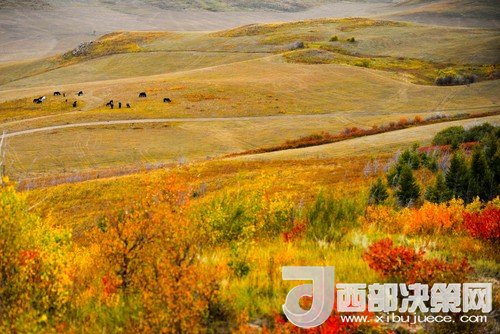 錫林郭勒草原國家級自然保護(hù)區(qū)。吳勇攝
