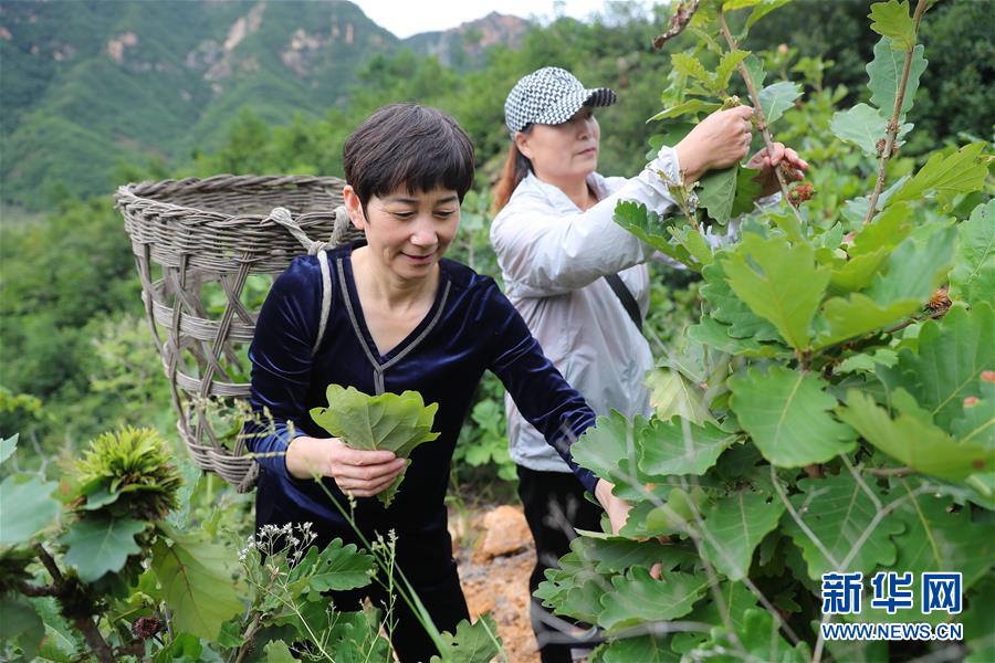 （新華全媒頭條·走向我們的小康生活·圖文互動）（7）長城腳下，小康村串成“珍珠鏈”